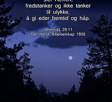 Jeremiah 29:11 in Norwegian -- Jeremias 29:11 Det Norsk Bibelselskap 1930 by Corri Gryting Gutzman