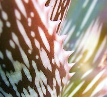 Mosaic by Andi Hardwick