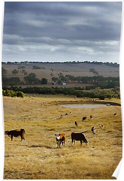 Australian Terrain