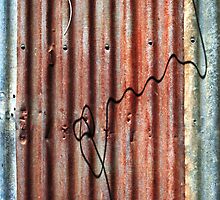 Wired Up by Stephen Mitchell