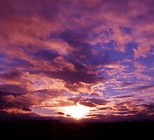 Enlightening Sunset by Nicole Weil T.