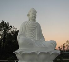 Budda at Sunset by Debbie Montgomery