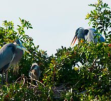 Family Affair by Michael Wolf