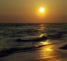 Serenity Surrounds Us by Terri~Lynn Bealle