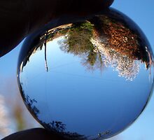 Snow Globe World? by Paul Revans