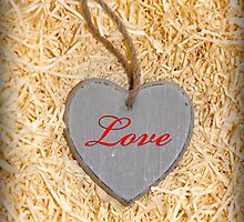 red inscribed wooden love heart in nest by morrbyte