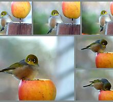This Is How You To Conquer The Big Apple! - Waxeye - NZ by AndreaEL