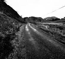 The Long Road by Donncha O Caoimh