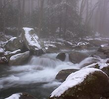Perfect Conditions GSMNP by ThomasRBiggs