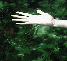 Cause of Death was determined to be Drowning in Stagnation by butchart