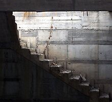 Step into the light by michelleduerden