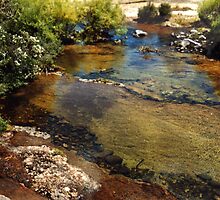 A Medley of Tasmania by Beth Mills