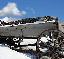 Seen Better Days by Maria Dryfhout