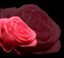 Echoes of Eternity by Michelle Boyer