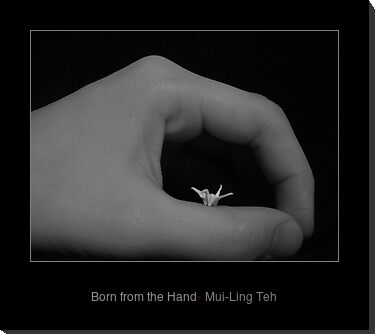 Miniature origami crane by Mui-Ling Teh