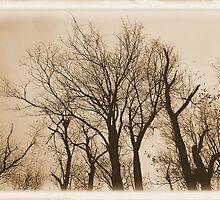 Stripped of Their Belongings and Left in the Cold by RosPho