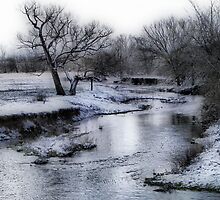 languish by budrfli