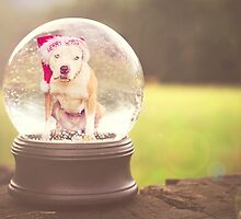 Merry Snowglobe by Zdogs