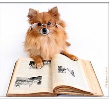 Reading Specs by grinandbearit