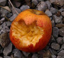 Early bird catches the...apple? by Bevsimages