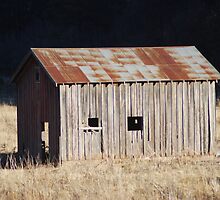 Old barn by DanTheBugleMan