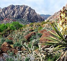 Red Rock Desertscape by Benjamin Padgett