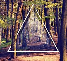 Pitch a Prism by Telic