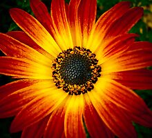 Allow yourself to create... by Chrysler Menchavez-Carlow