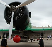 Japanese Zero Torpedo Bomber by Jeremy Jones