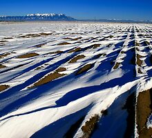 Intersection by Ryan Wright