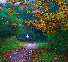 Autumn Path by Julie Marks