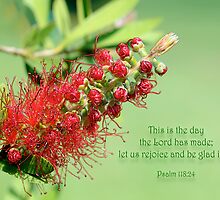 Rejoice by Bonnie T. Barry