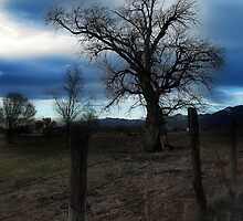 Coming Storm by Estevan Montoya