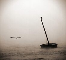 Lonesome fugitive by Gabor Dvornik