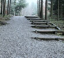 Stairway in the Forest by inspiringwords