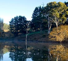 Tranquility in the Adelaide Hills by Elana Bailey