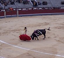 Bull Fight in Madrid by CherylBee