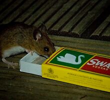 Average Contents One Mouse by GlennRoger