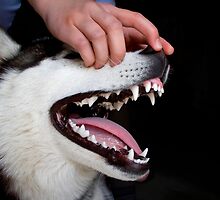 show your teeth by plastique
