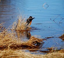 Gone Fishing by Jason D. Laderoute