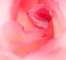 Heaven Scent by Kardz4Kenya