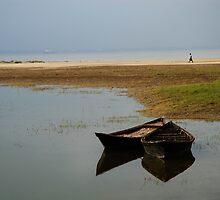Lonely Twins by tarique
