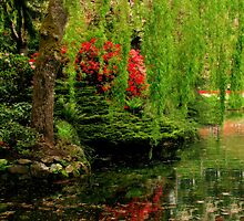 Willow Over Water by Rebecca Cruz
