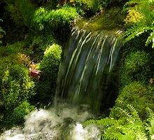 Garden Stream by Rebecca Cruz