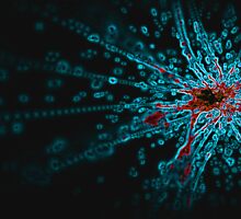 wired water by madcass