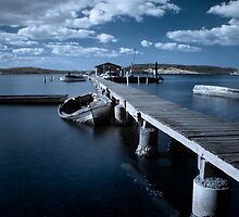 Sunk by Naomi Frost