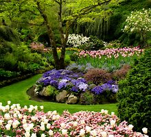 Sunken Garden by Rebecca Cruz