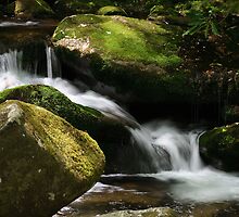 Hear Me by Gary L Suddath