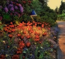 Butchart Gardens at Night 2 by Deri Dority