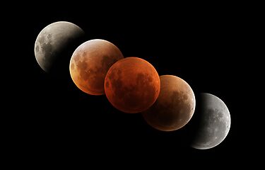 Lunar Eclipse by Phil Hart